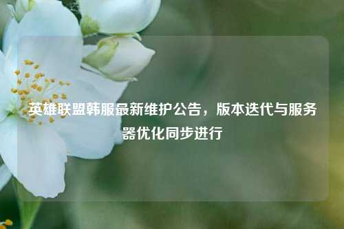 英雄联盟韩服最新维护公告，版本迭代与服务器优化同步进行