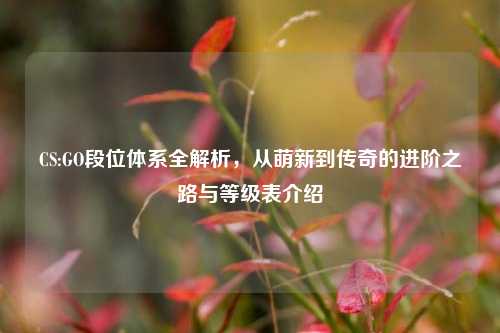CS:GO段位体系全解析，从萌新到传奇的进阶之路与等级表介绍
