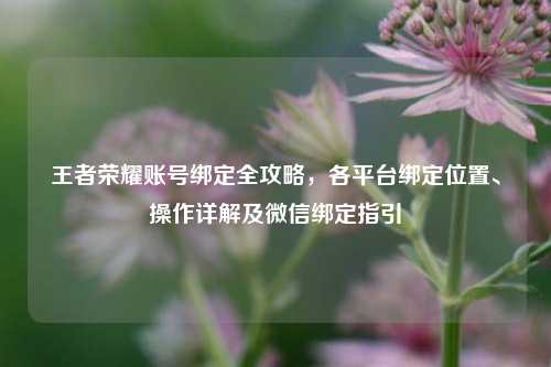 王者荣耀账号绑定全攻略，各平台绑定位置、操作详解及微信绑定指引