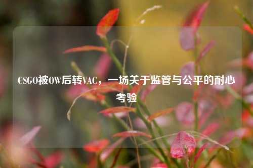 CSGO被OW后转VAC，一场关于监管与公平的耐心考验