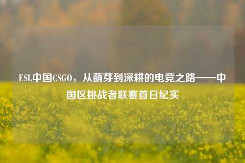 ESL中国CSGO，从萌芽到深耕的电竞之路——中国区挑战者联赛首日纪实