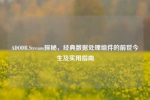 ADODB.Stream探秘，经典数据处理组件的前世今生及实用指南
