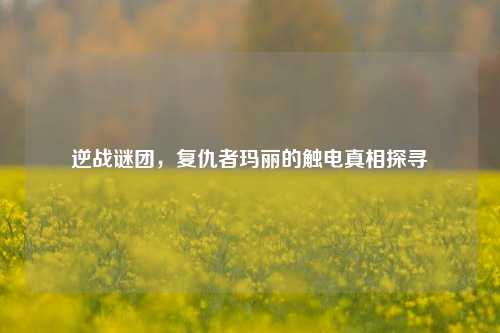 逆战谜团，复仇者玛丽的触电真相探寻