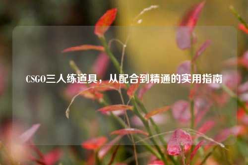 CSGO三人练道具，从配合到精通的实用指南