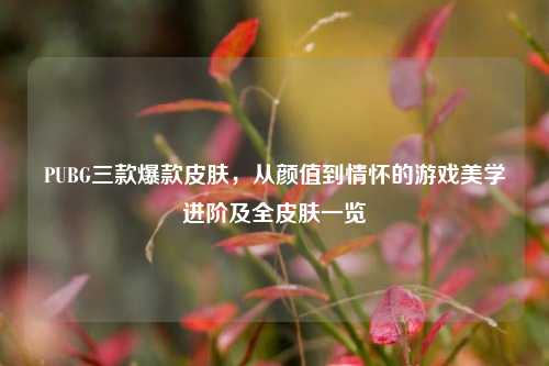 PUBG三款爆款皮肤，从颜值到情怀的游戏美学进阶及全皮肤一览