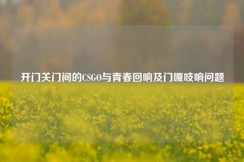 开门关门间的CSGO与青春回响及门嘎吱响问题