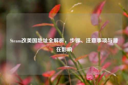 Steam改美国地址全解析，步骤、注意事项与潜在影响
