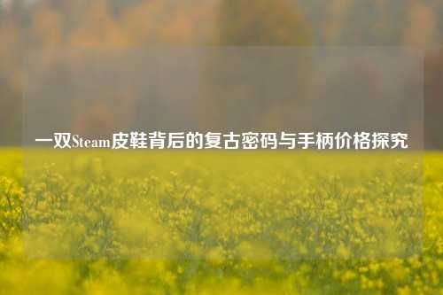 一双Steam皮鞋背后的复古密码与手柄价格探究