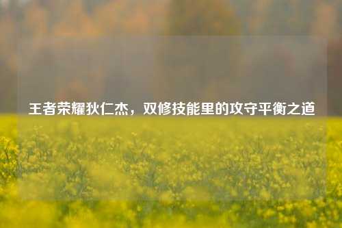 王者荣耀狄仁杰，双修技能里的攻守平衡之道