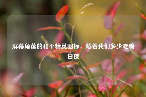 屏幕角落的和平精英图标，藏着我们多少吃鸡日夜