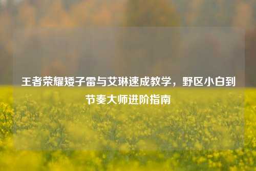 王者荣耀矮子雷与艾琳速成教学，野区小白到节奏大师进阶指南