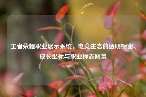 王者荣耀职业展示系统，电竞生态的透明橱窗、成长坐标与职业标志图景