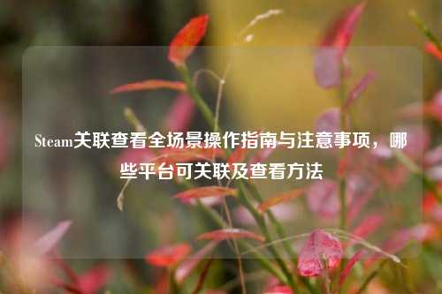 Steam关联查看全场景操作指南与注意事项，哪些平台可关联及查看方法