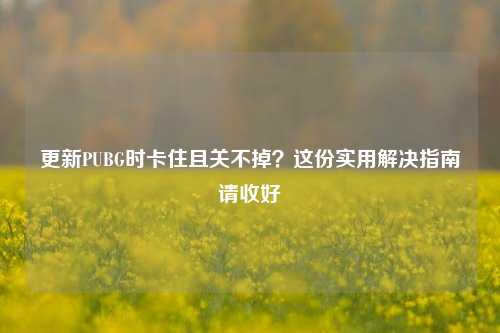 更新PUBG时卡住且关不掉？这份实用解决指南请收好