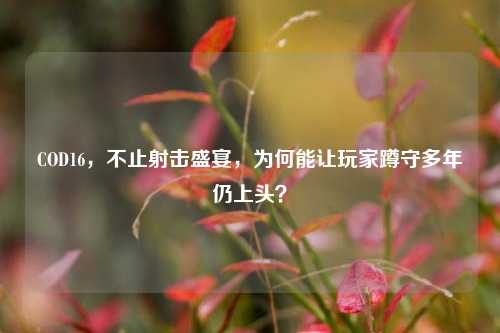 COD16，不止射击盛宴，为何能让玩家蹲守多年仍上头？