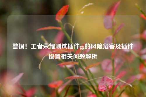 警惕！王者荣耀测试插件gg的风险危害及插件设置相关问题解析