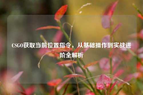 CSGO获取当前位置指令，从基础操作到实战进阶全解析