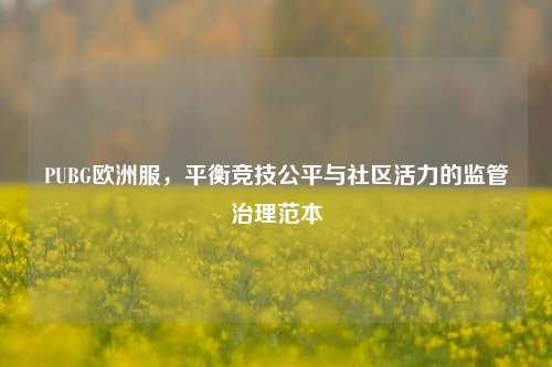 PUBG欧洲服，平衡竞技公平与社区活力的监管治理范本