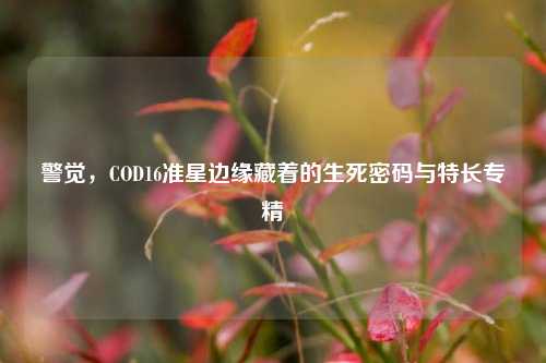 警觉，COD16准星边缘藏着的生死密码与特长专精