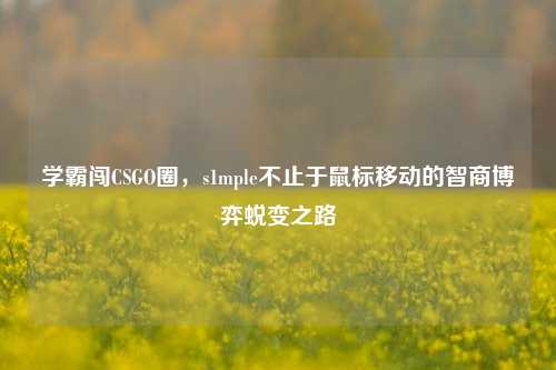 学霸闯CSGO圈，s1mple不止于鼠标移动的智商博弈蜕变之路
