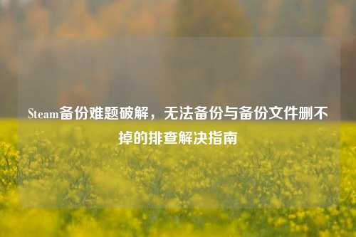 Steam备份难题破解，无法备份与备份文件删不掉的排查解决指南