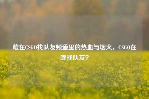 藏在CSGO找队友频道里的热血与烟火，CSGO在哪找队友？