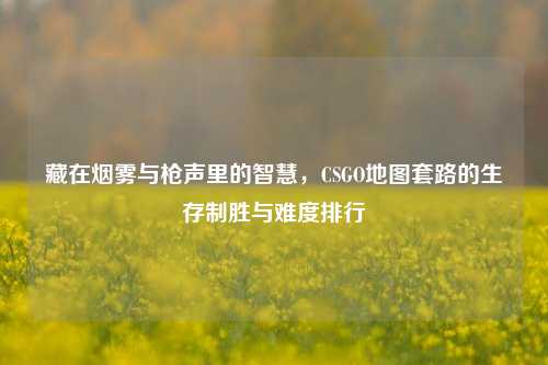 藏在烟雾与枪声里的智慧，CSGO地图套路的生存制胜与难度排行