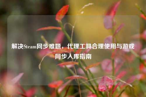 解决Steam同步难题，代理工具合理使用与游戏同步入库指南
