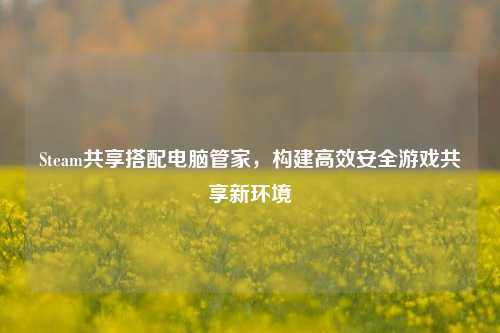 Steam共享搭配电脑管家,构建高效安全游戏共享新环境