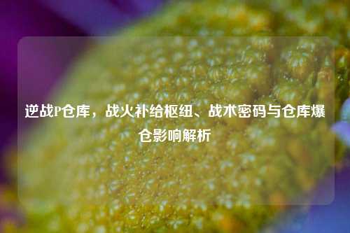 逆战P仓库，战火补给枢纽、战术密码与仓库爆仓影响解析