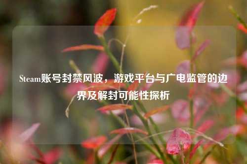 Steam账号封禁风波，游戏平台与广电监管的边界及解封可能性探析
