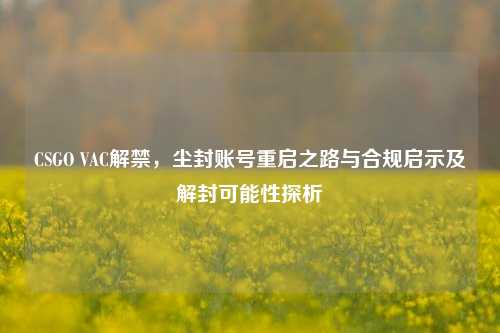 CSGO VAC解禁，尘封账号重启之路与合规启示及解封可能性探析