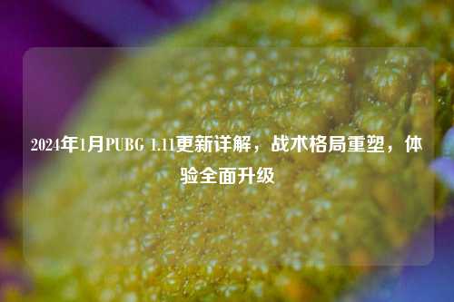 2024年1月PUBG 1.11更新详解，战术格局重塑，体验全面升级