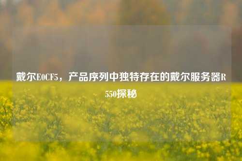 戴尔E0CF5，产品序列中独特存在的戴尔服务器R550探秘
