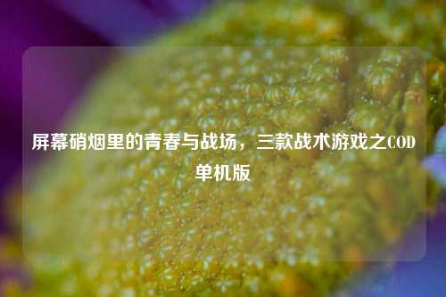 屏幕硝烟里的青春与战场，三款战术游戏之COD单机版