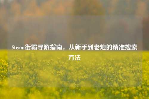 Steam街霸寻游指南，从新手到老炮的精准搜索方法