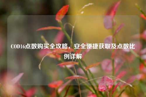 COD16点数购买全攻略，安全便捷获取及点数比例详解