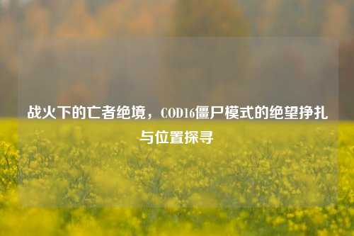 战火下的亡者绝境，COD16僵尸模式的绝望挣扎与位置探寻