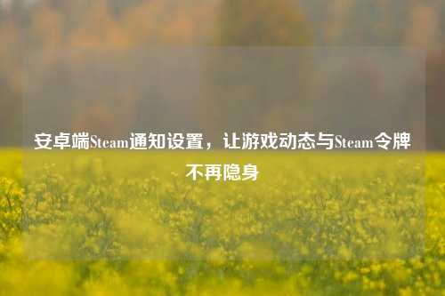 安卓端Steam通知设置，让游戏动态与Steam令牌不再隐身