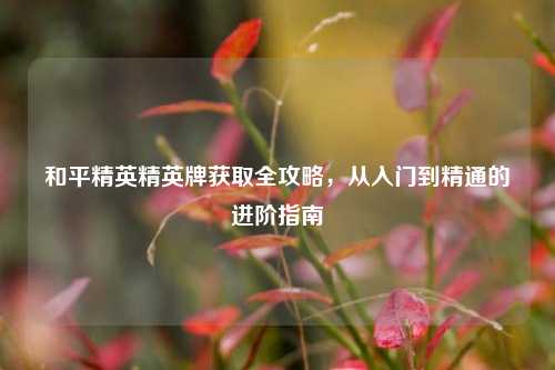 和平精英精英牌获取全攻略，从入门到精通的进阶指南