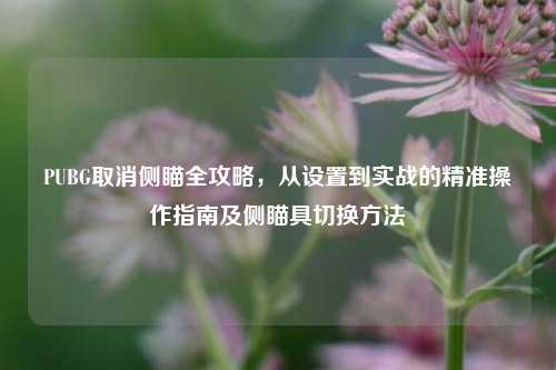 PUBG取消侧瞄全攻略，从设置到实战的精准操作指南及侧瞄具切换方法