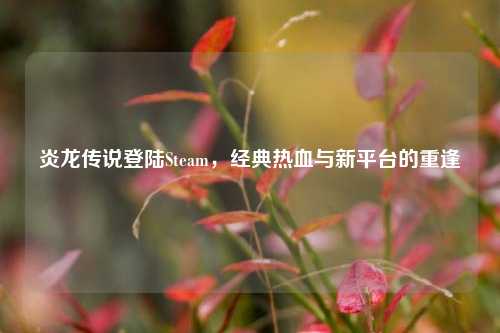 炎龙传说登陆Steam，经典热血与新平台的重逢