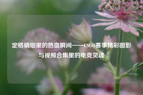 定格硝烟里的热血瞬间——CSGO赛事精彩图影与视频合集里的电竞灵魂