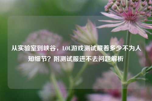 从实验室到峡谷，LOL游戏测试藏着多少不为人知细节？附测试服进不去问题解析