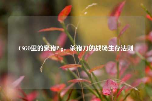 CSGO里的豪猪Pig，杀猪刀的战场生存法则