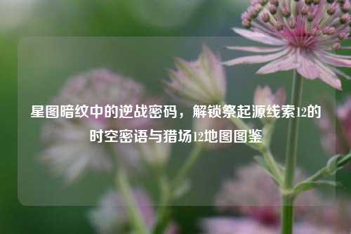 星图暗纹中的逆战密码，解锁祭起源线索12的时空密语与猎场12地图图鉴
