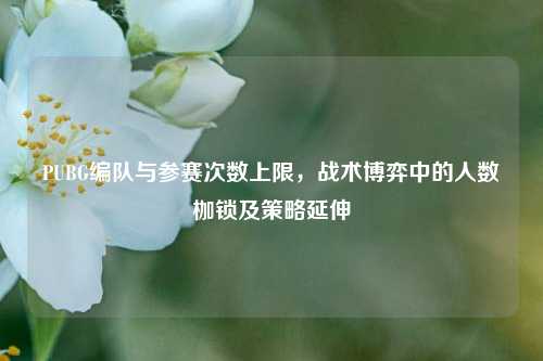 PUBG编队与参赛次数上限，战术博弈中的人数枷锁及策略延伸