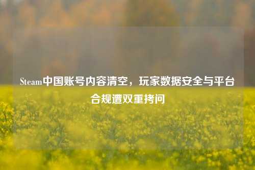Steam中国账号内容清空，玩家数据安全与平台合规遭双重拷问