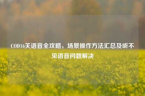 COD16关语音全攻略，场景操作方法汇总及听不见语音问题解决
