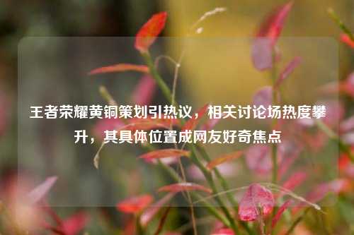 王者荣耀黄铜策划引热议，相关讨论场热度攀升，其具体位置成网友好奇焦点